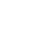 Onsite IT Support icon